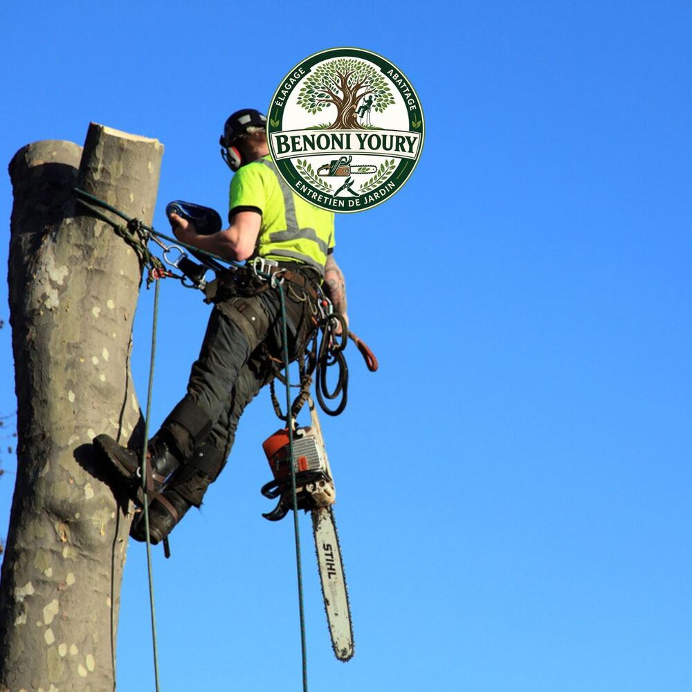 Démontage d’arbre par sections avec cordes