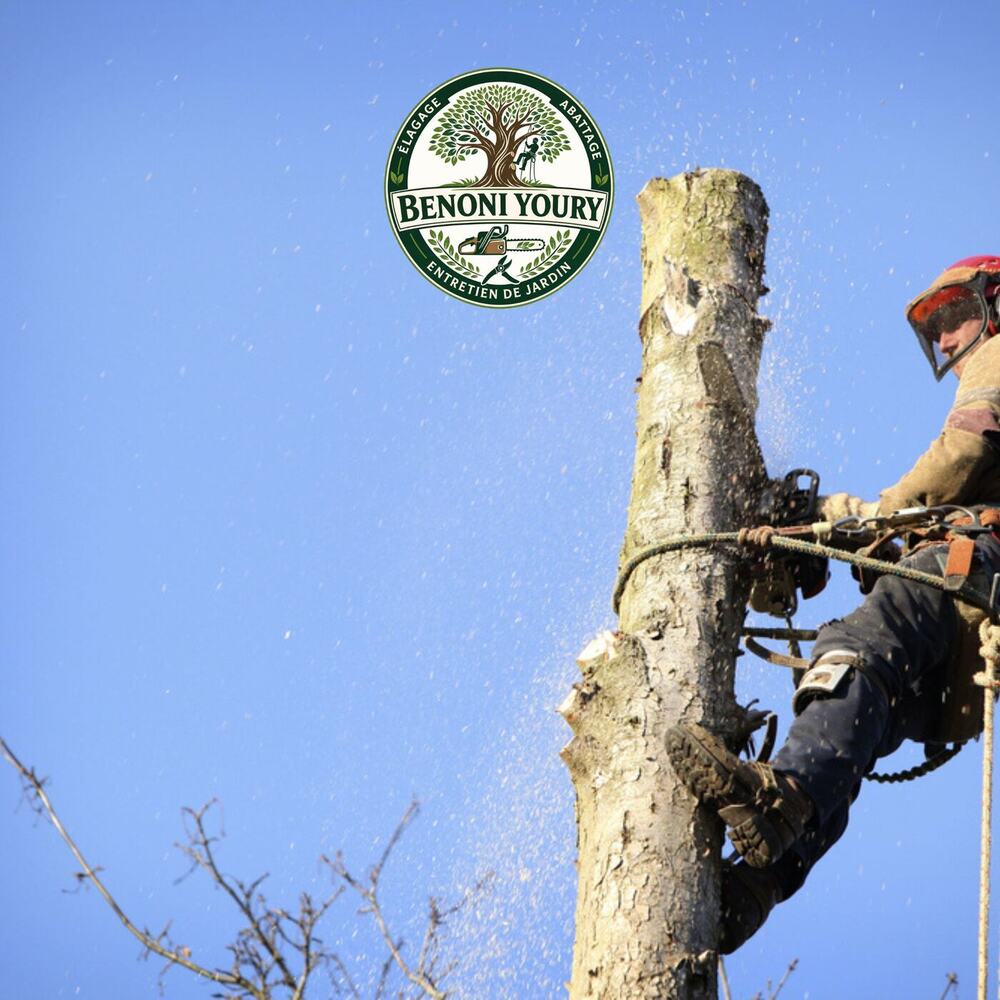 Démontage d’arbre par sections avec cordes