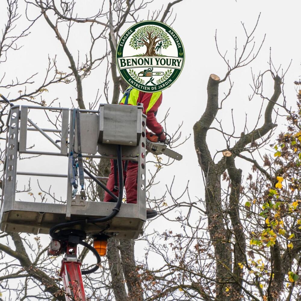 Débroussaillage d’un terrain en Tarn-et-Garonne