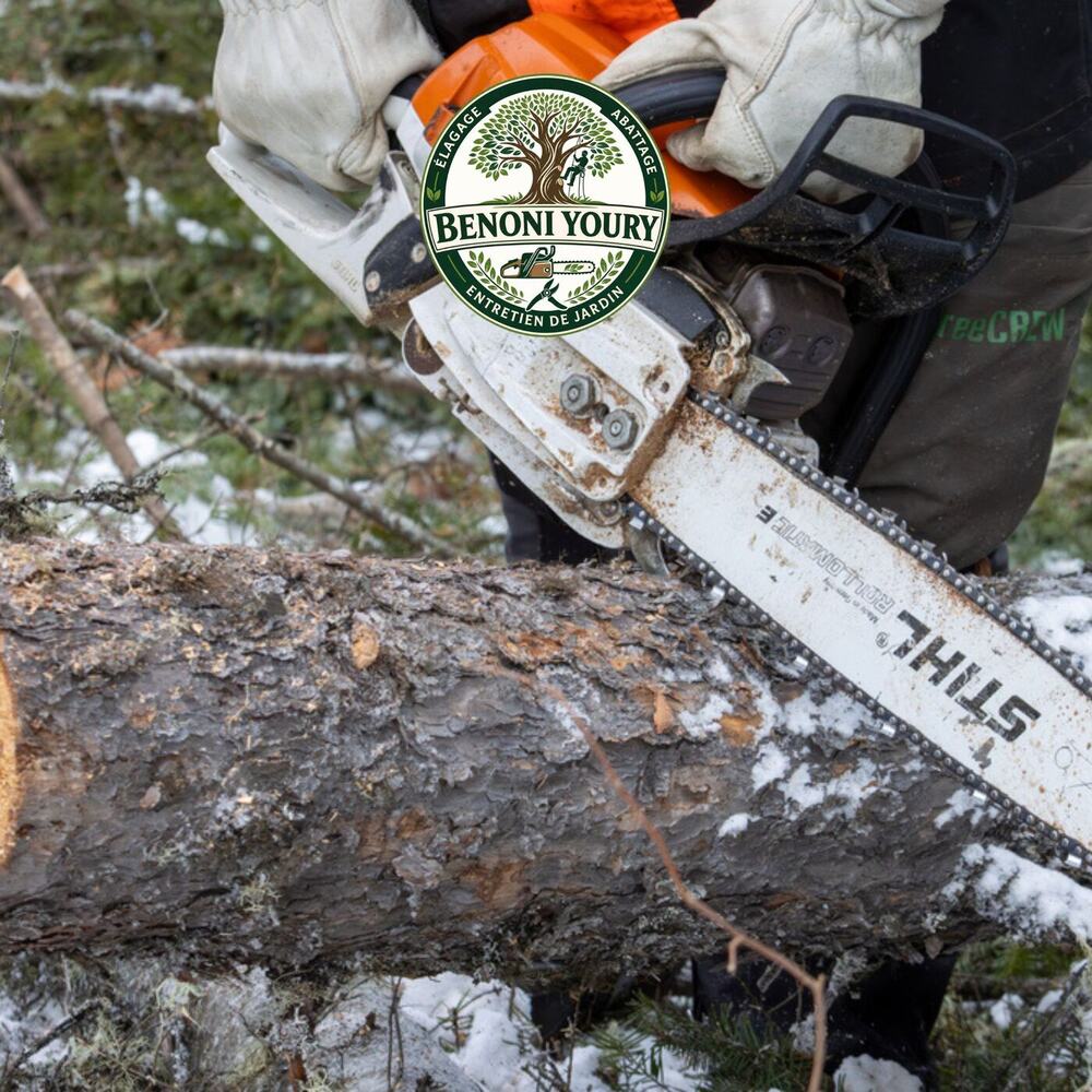 Évacuation des branches après un chantier d’élagage