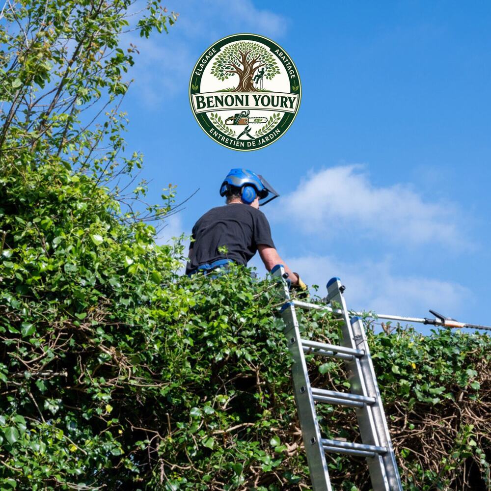 Démontage d’arbre par sections avec cordes