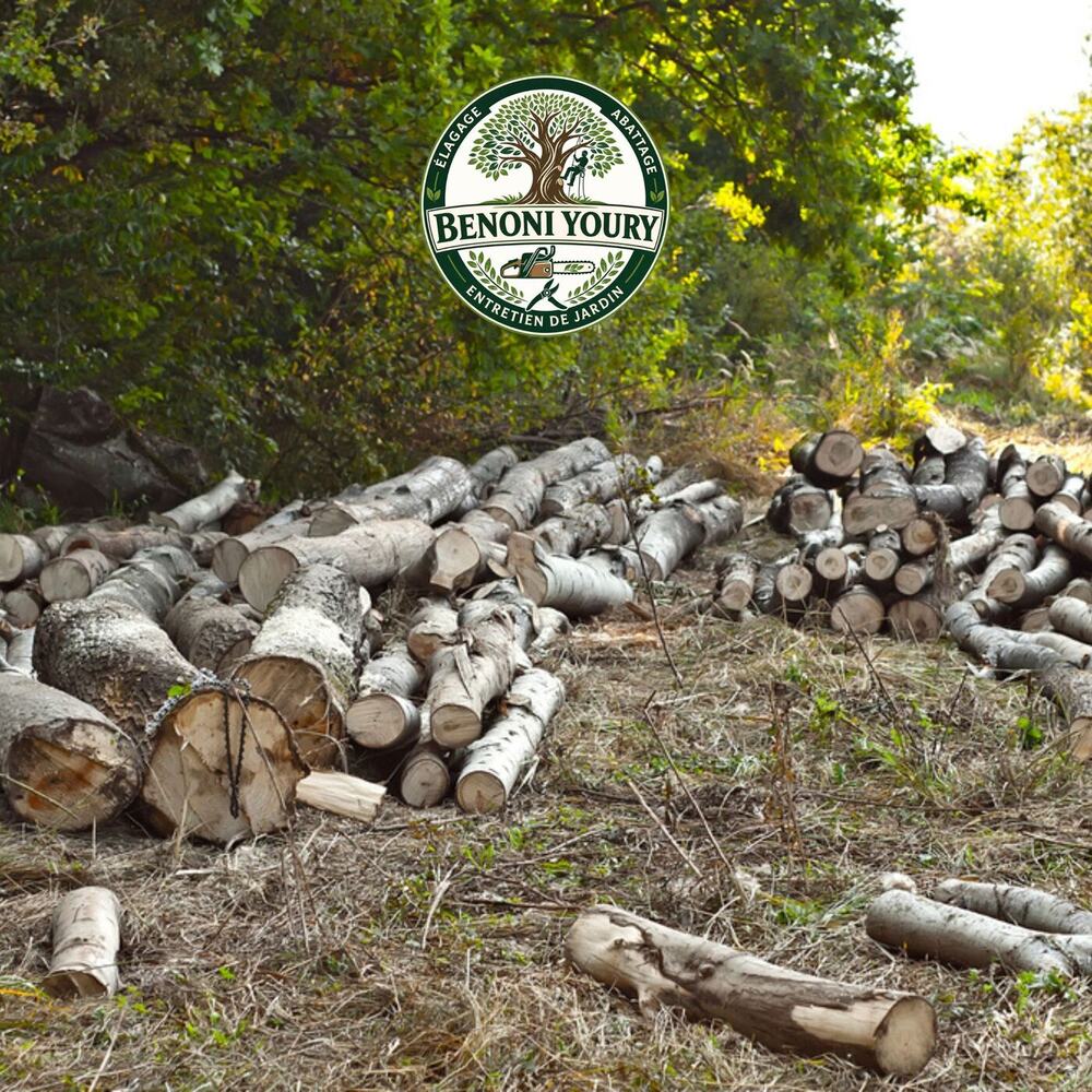 Évacuation des branches après un chantier d’élagage